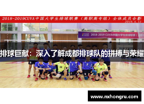 排球巨献：深入了解成都排球队的拼搏与荣耀