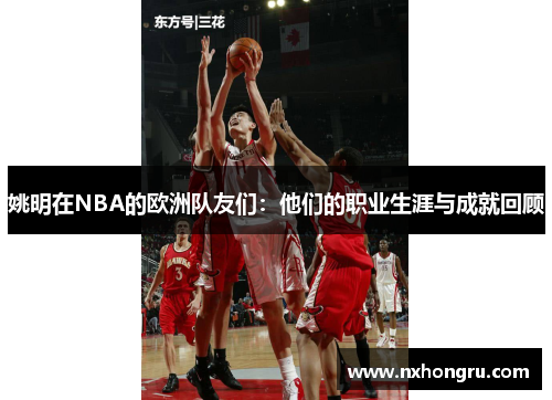 姚明在NBA的欧洲队友们：他们的职业生涯与成就回顾