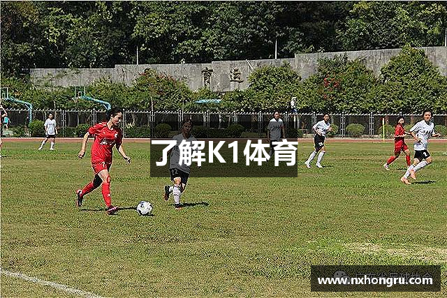 了解K1体育
